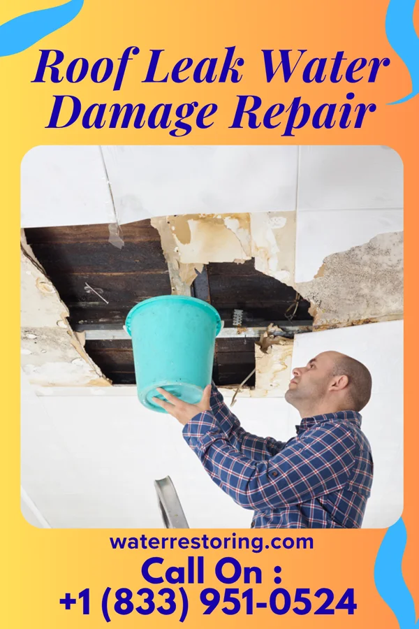 Roof Leak Water Damage Repair in Lincoln, CA